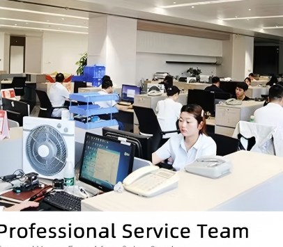 Professional service team